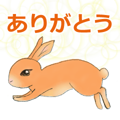 うさぎの手書きイラスト Lineスタンプ Hori15